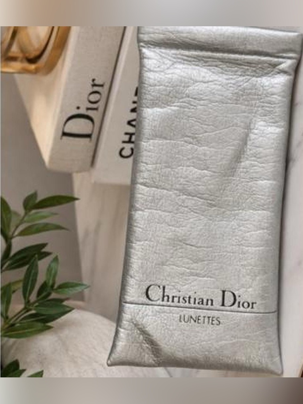 Dior Metallic Silver Leather Pouch de Lunettes